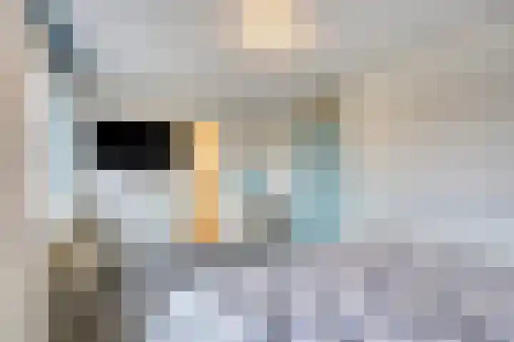 Pinglestraat 1 Dronten thumbnail 23