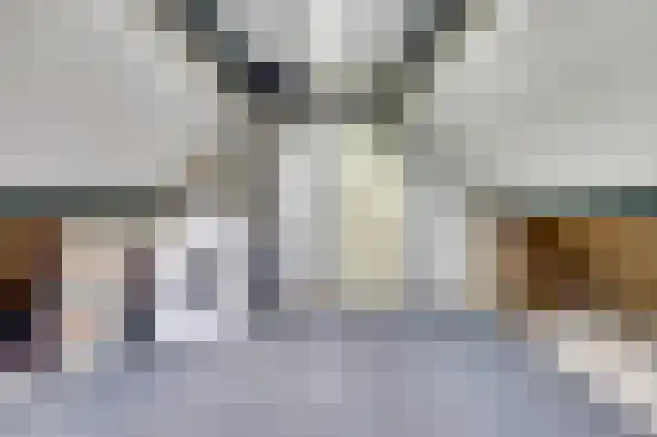 Pinglestraat 1 Dronten thumbnail 31