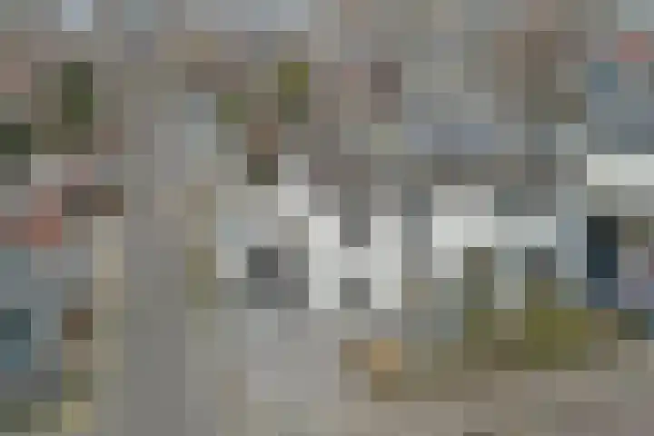 Pinglestraat 1 Dronten thumbnail 35