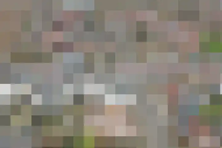 Pinglestraat 1 Dronten thumbnail 39