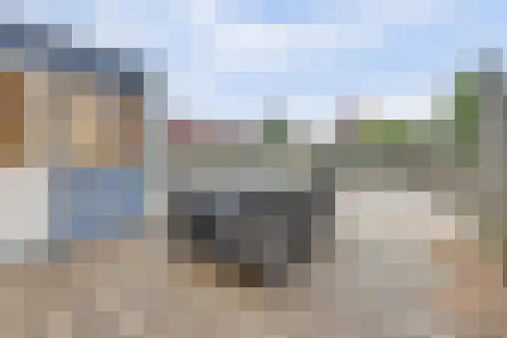 Pinglestraat 1 Dronten thumbnail 42