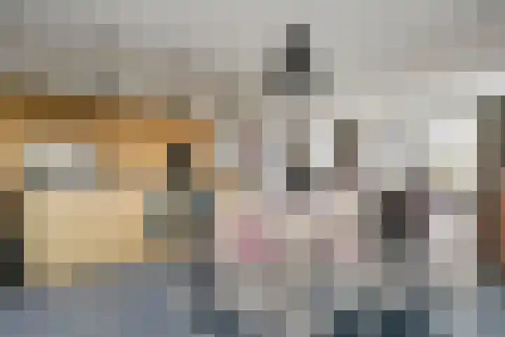 Pinglestraat 1 Dronten thumbnail 5