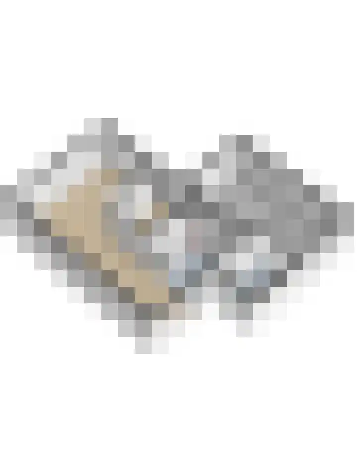 Pinglestraat 1 Dronten thumbnail 50