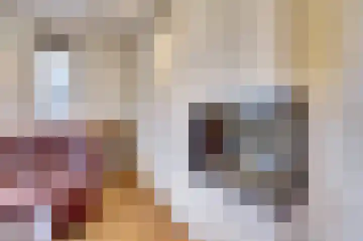 Pinglestraat 1 Dronten thumbnail 9