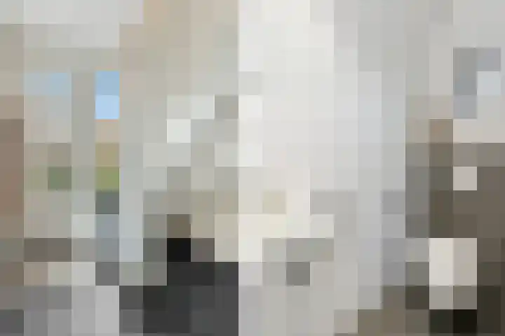 Pingosingel 4 Kerkenveld thumbnail 11