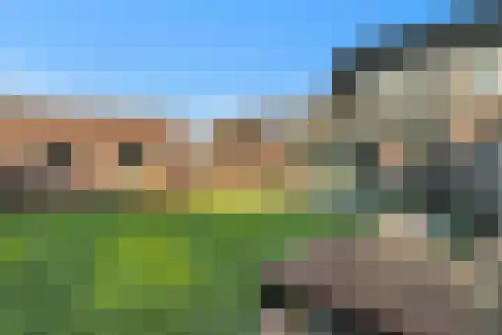 Pingosingel 4 Kerkenveld thumbnail 22