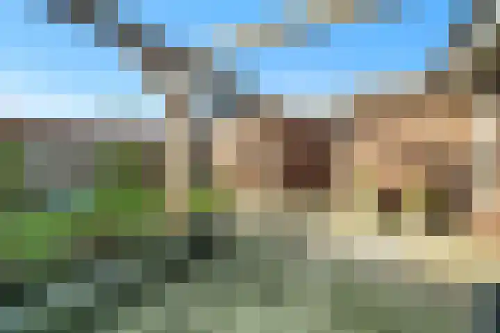 Pingosingel 4 Kerkenveld thumbnail 23