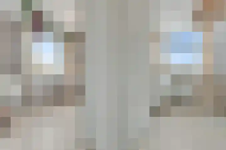 Pingosingel 4 Kerkenveld thumbnail 25