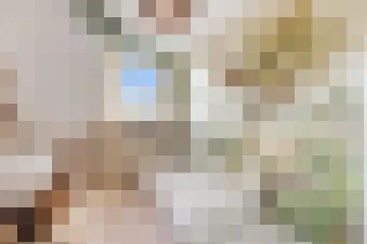 Pingosingel 4 Kerkenveld thumbnail 30