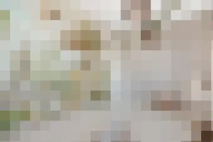Pingosingel 4 Kerkenveld thumbnail 31