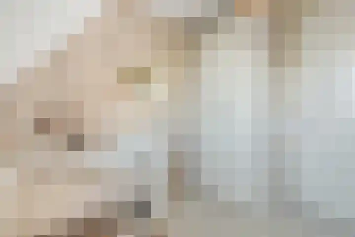Pingosingel 4 Kerkenveld thumbnail 33