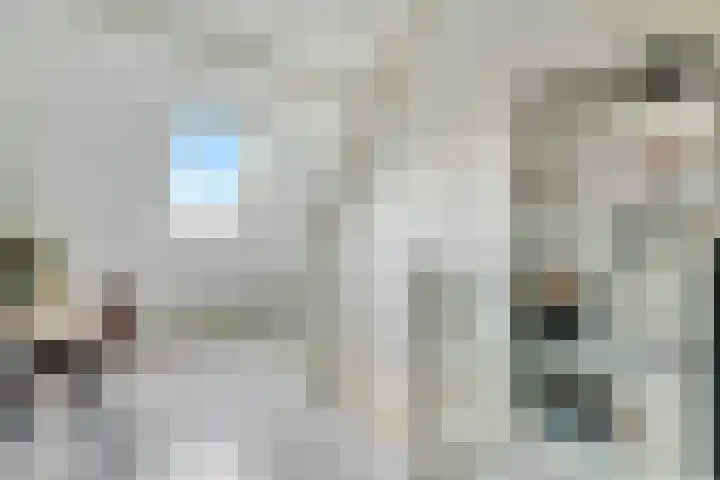 Pingosingel 4 Kerkenveld thumbnail 38