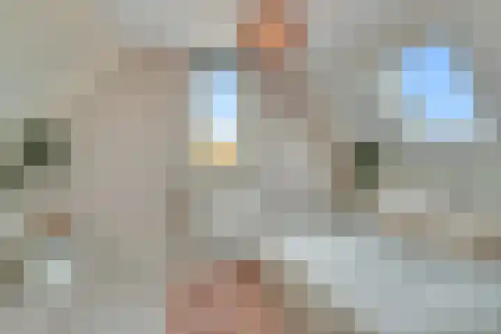Pingosingel 4 Kerkenveld thumbnail 41