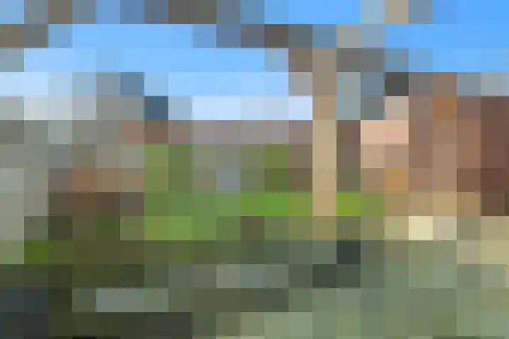 Pingosingel 4 Kerkenveld thumbnail 46