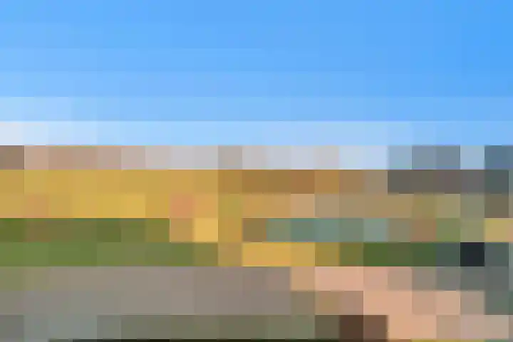 Pingosingel 4 Kerkenveld thumbnail 49