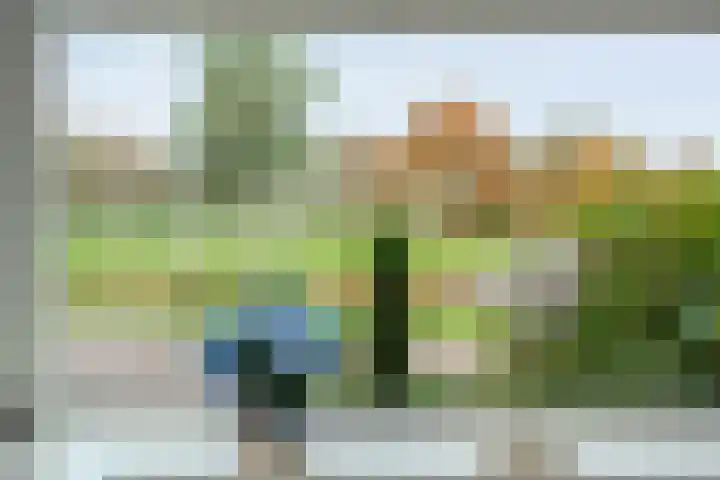 Pingosingel 8 Kerkenveld thumbnail 13