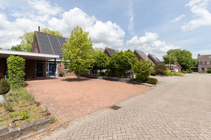 Pinksterbloem 12 in Beilen foto