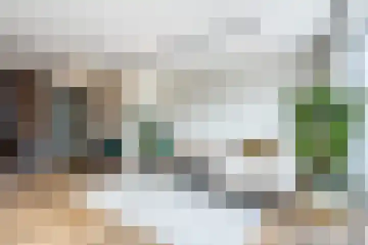 Pinksterbloem 14 Bodegraven thumbnail 12