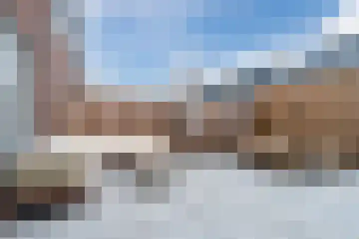 Pinksterbloem 14 Bodegraven thumbnail 6