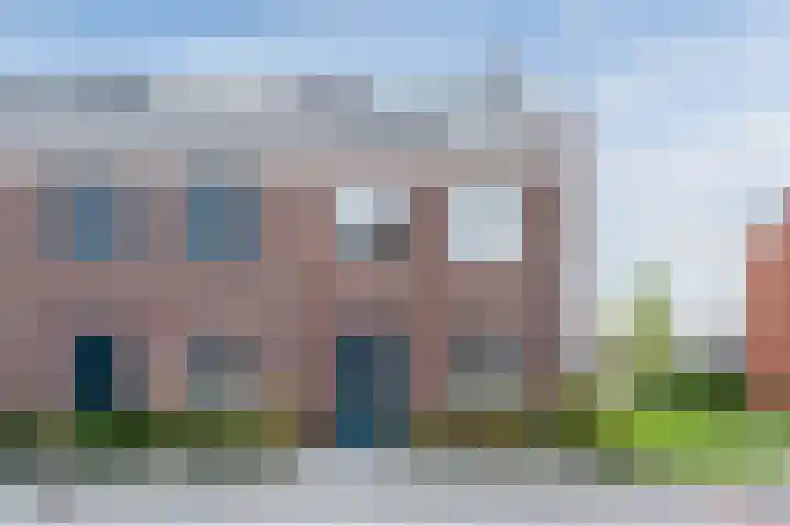 Pinksterbloem 14 Bodegraven thumbnail 7