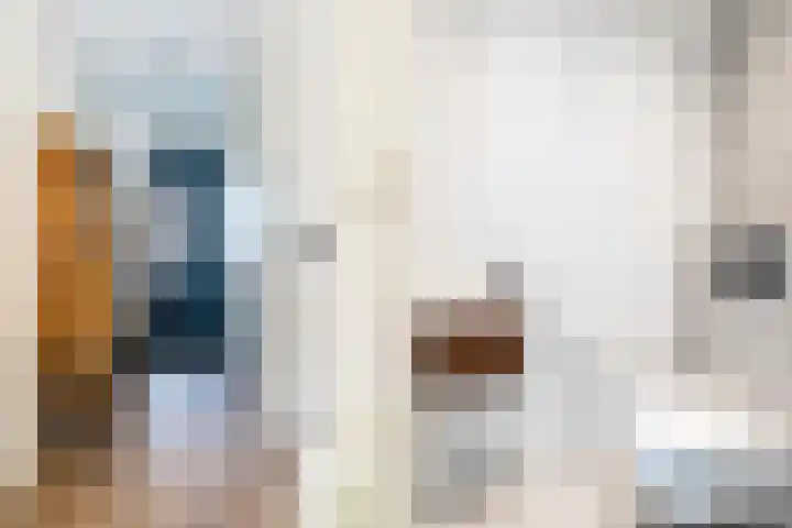 Pinksterbloem 14 Bodegraven thumbnail 8