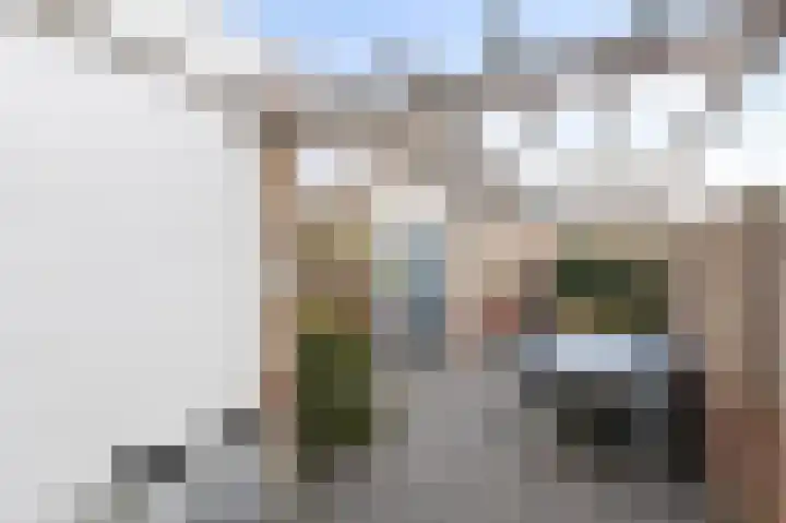 Pinksterbloem 19 Duiven thumbnail 28