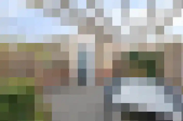 Pinksterbloem 19 Duiven thumbnail 29