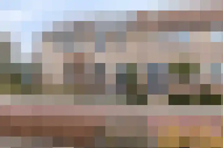 Pinksterbloem 19 Duiven thumbnail 54