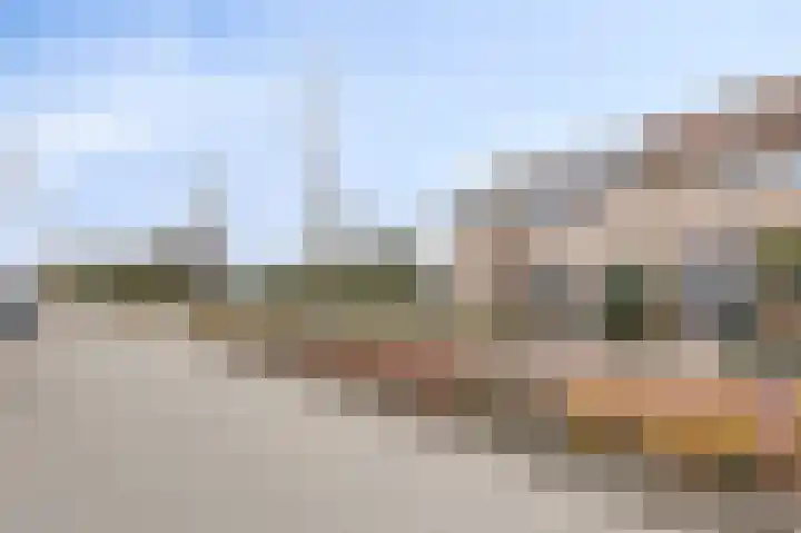 Pinksterbloem 19 Duiven thumbnail 55