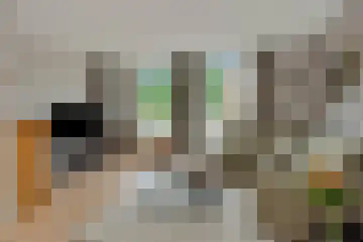 Pinksterbloem 3 Deurne thumbnail 12