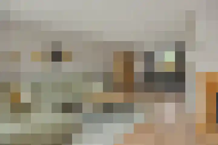 Pinksterbloem 3 Deurne thumbnail 14