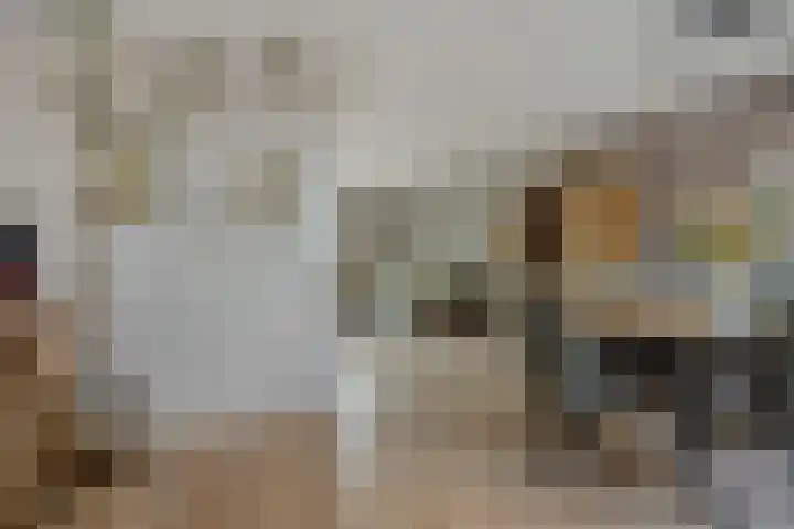 Pinksterbloem 3 Deurne thumbnail 15