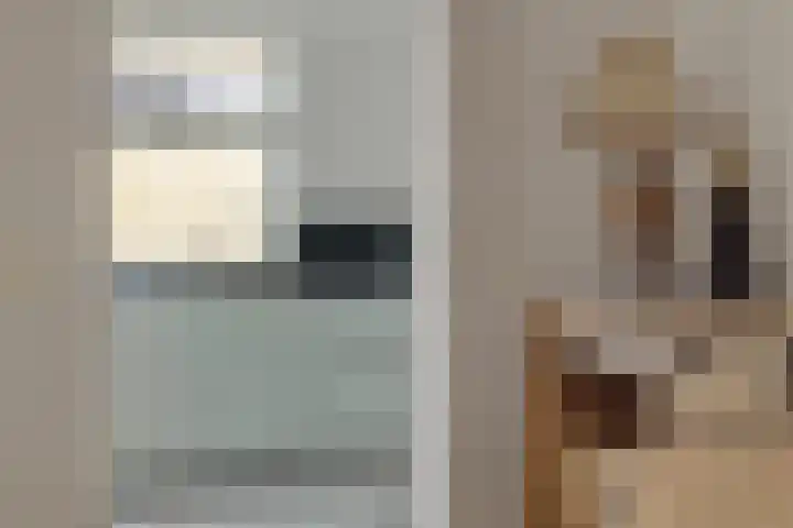 Pinksterbloem 3 Deurne thumbnail 17