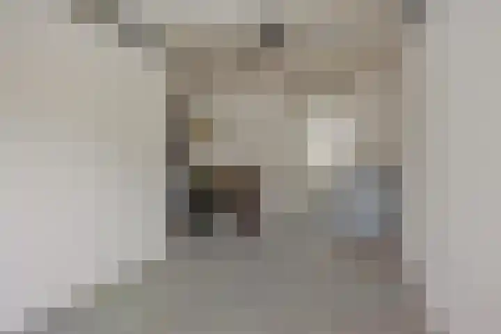 Pinksterbloem 3 Deurne thumbnail 21