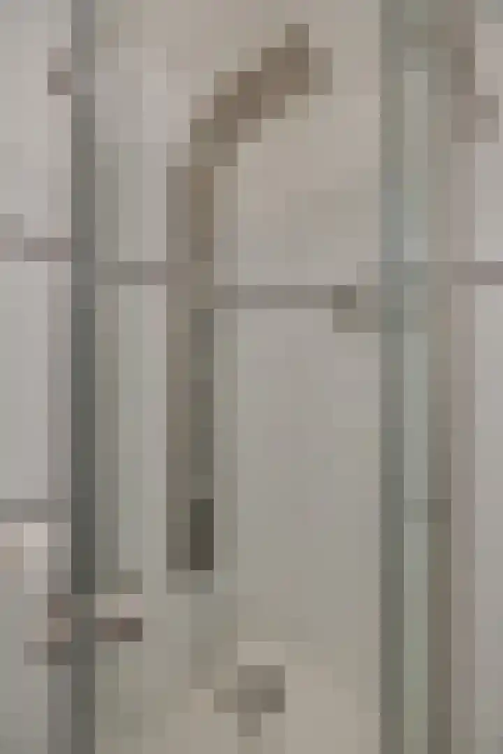 Pinksterbloem 3 Deurne thumbnail 30