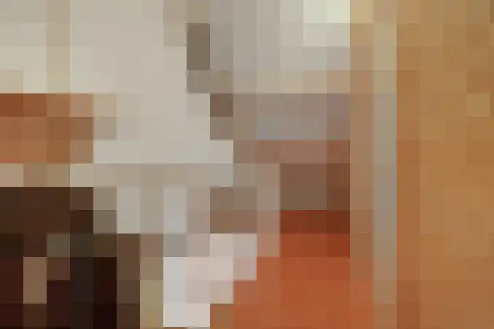 Pinksterbloem 3 Deurne thumbnail 31