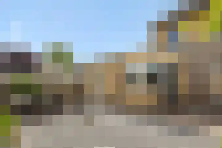 Pinksterbloem 3 Deurne thumbnail 34