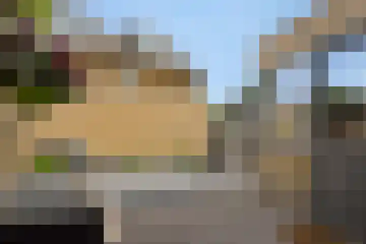 Pinksterbloem 3 Deurne thumbnail 35