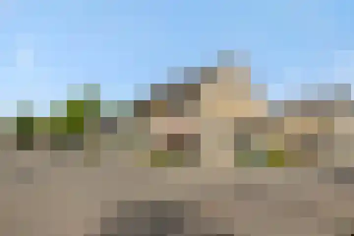 Pinksterbloem 3 Deurne thumbnail 39