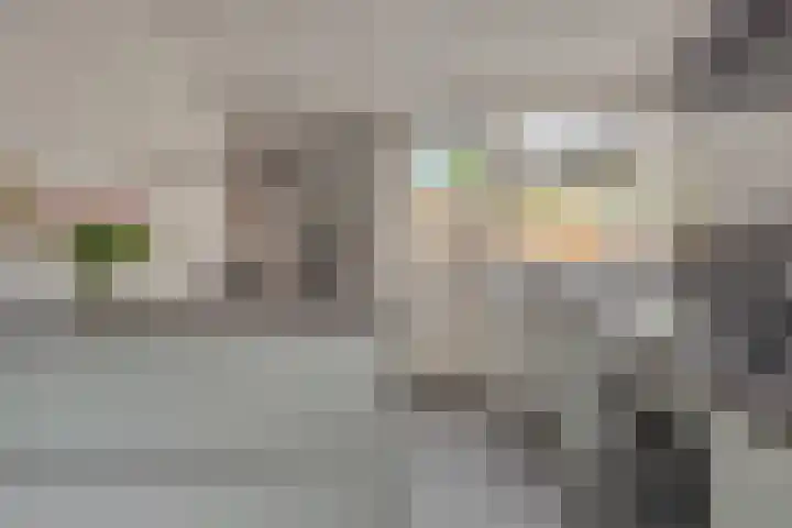 Pinksterbloem 3 Deurne thumbnail 4