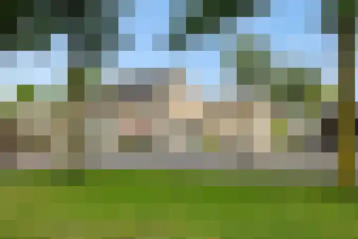 Pinksterbloem 3 Deurne thumbnail 41