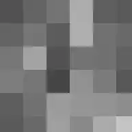 Pinksterbloem 3 Deurne thumbnail 44