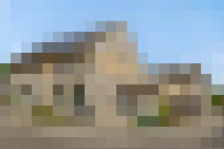 Pinksterbloem 3 Deurne thumbnail 49