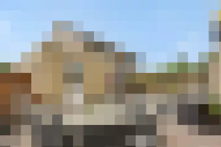 Pinksterbloem 3 Deurne thumbnail 5