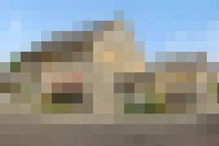 Pinksterbloem 3 Deurne thumbnail 6