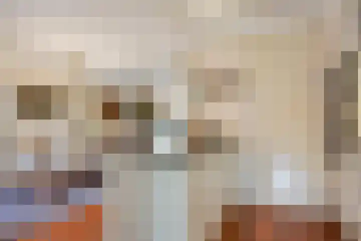 Pinkvelden 2 B Best thumbnail 17