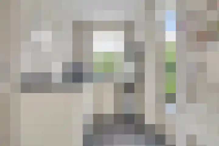Pinkvelden 2 B Best thumbnail 18