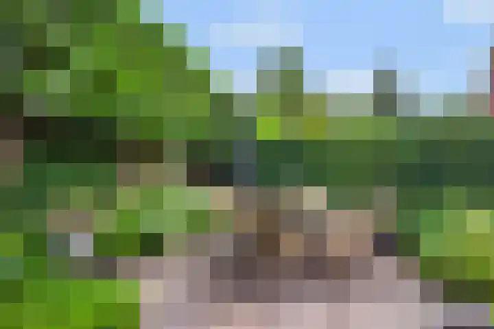 Pinkvelden 2 B Best thumbnail 35