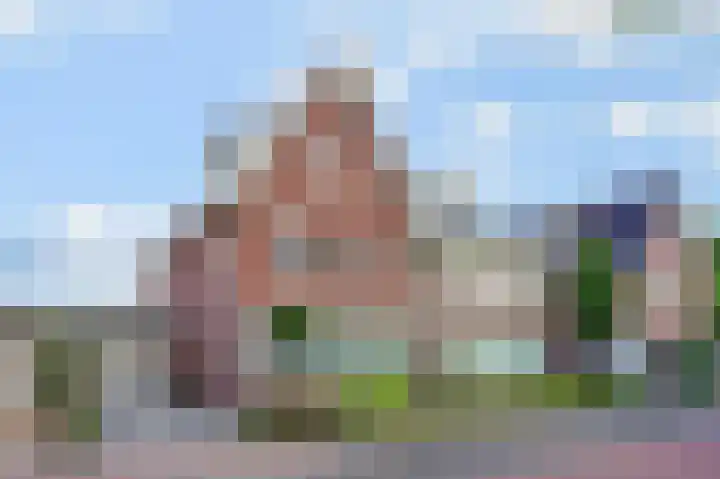 Pinkvelden 2 B Best thumbnail 6