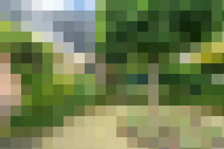 Pipegaal 9 Oudehaske thumbnail 10